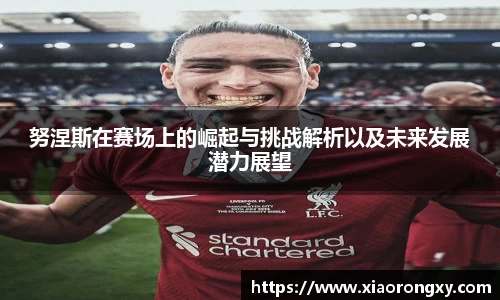 努涅斯在赛场上的崛起与挑战解析以及未来发展潜力展望